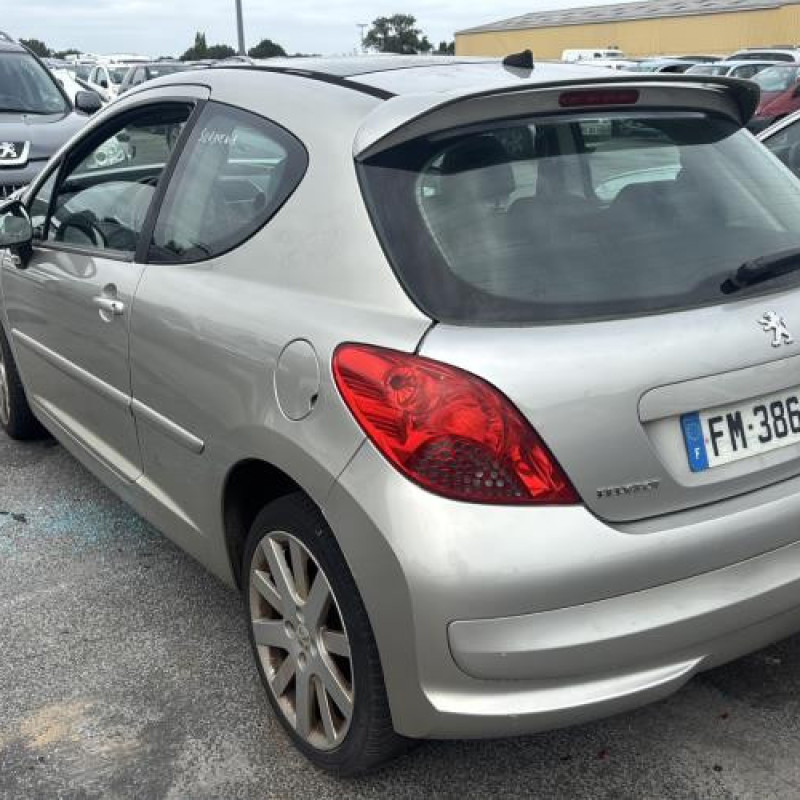 Porte avant gauche PEUGEOT 207 Photo n°8
