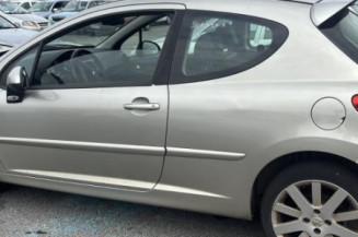 Porte avant gauche PEUGEOT 207