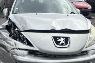 Porte avant gauche PEUGEOT 207