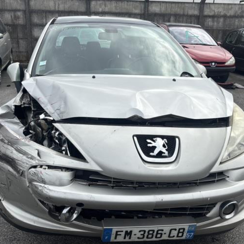Porte avant gauche PEUGEOT 207 Photo n°12