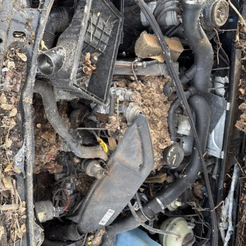 Feu arriere secondaire droit (feux) VOLKSWAGEN PASSAT 3 Photo n°16