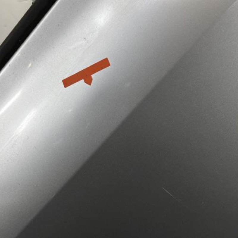 Porte arriere droit RENAULT CLIO 3 Photo n°3