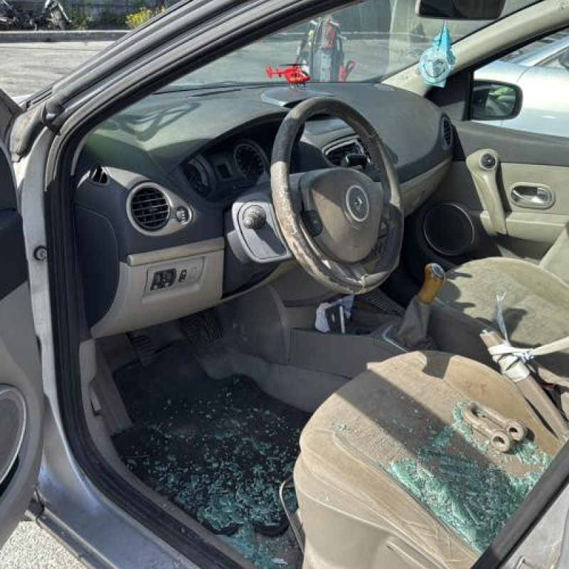 Porte arriere droit RENAULT CLIO 3 Photo n°15