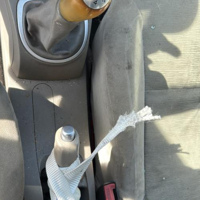 Porte arriere droit RENAULT CLIO 3 Photo n°19