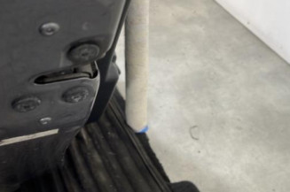 Porte arriere gauche RENAULT CLIO 4