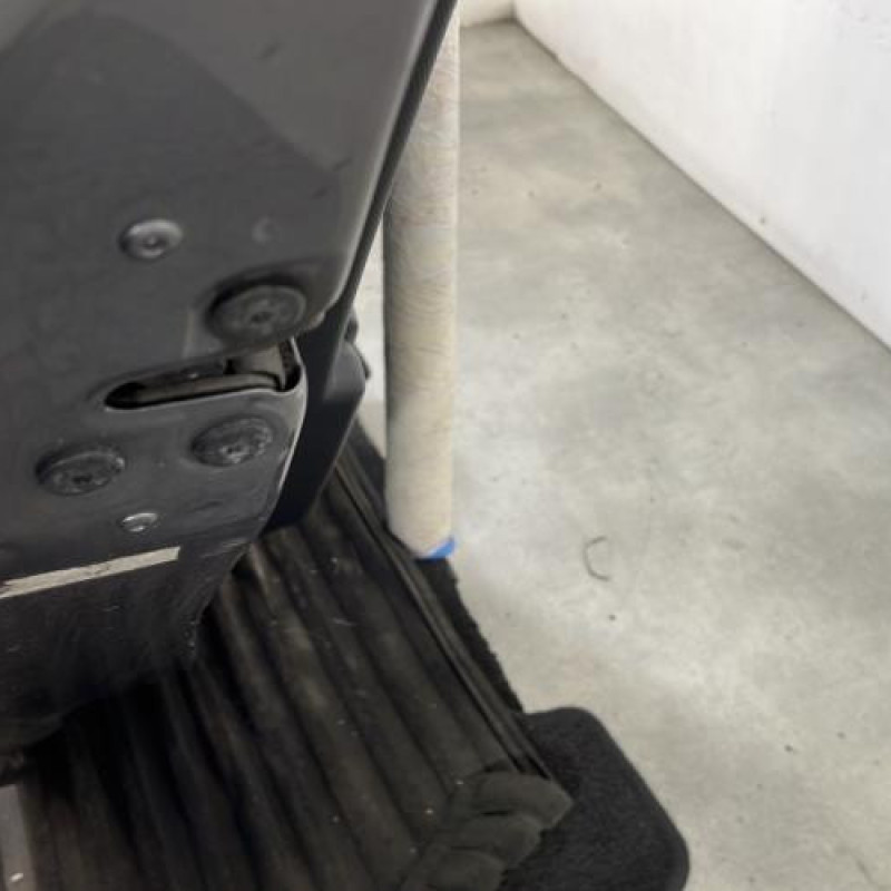 Porte arriere gauche RENAULT CLIO 4 Photo n°3