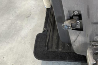 Porte arriere gauche RENAULT CLIO 4