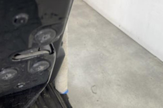 Porte arriere gauche RENAULT CLIO 4