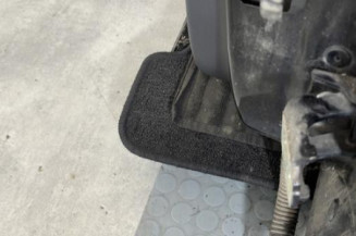 Porte arriere gauche RENAULT CLIO 4