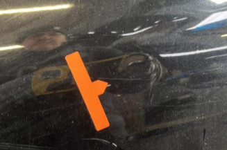 Porte arriere gauche RENAULT CLIO 4