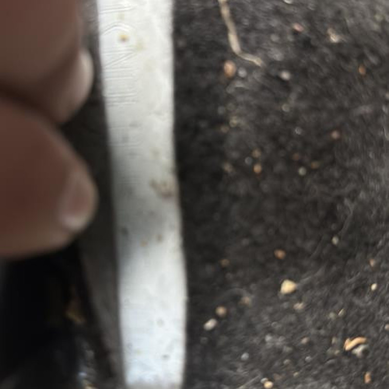 Ceinture avant gauche RENAULT TWINGO 2 Photo n°20