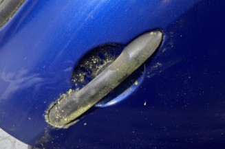 Porte arriere droit RENAULT CLIO 3