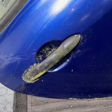 Porte arriere droit RENAULT CLIO 3