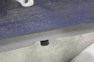 Porte arriere droit RENAULT CLIO 3