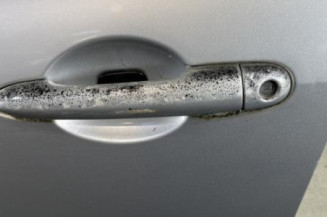 Porte avant gauche RENAULT CLIO 3
