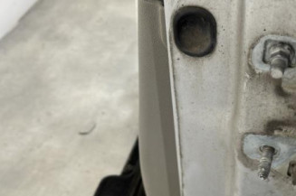 Porte avant gauche RENAULT CLIO 3