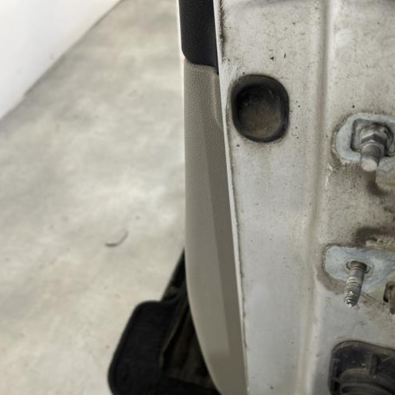 Porte avant gauche RENAULT CLIO 3 Photo n°4