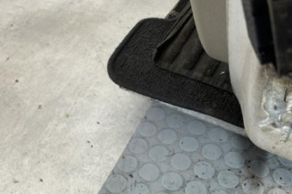 Porte avant gauche RENAULT CLIO 3