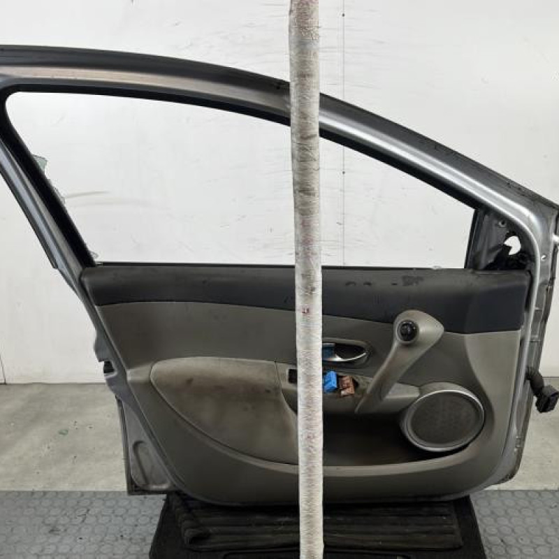 Porte avant gauche RENAULT CLIO 3 Photo n°6