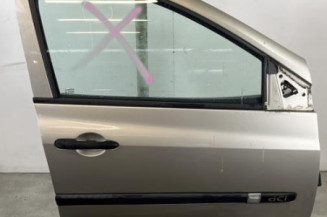 Porte avant droit RENAULT CLIO 3 Photo n°1