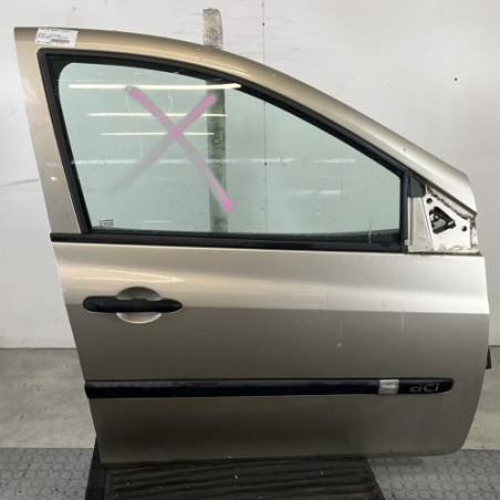 Porte avant droit RENAULT CLIO 3 Photo n°1