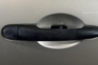 Porte avant droit RENAULT CLIO 3