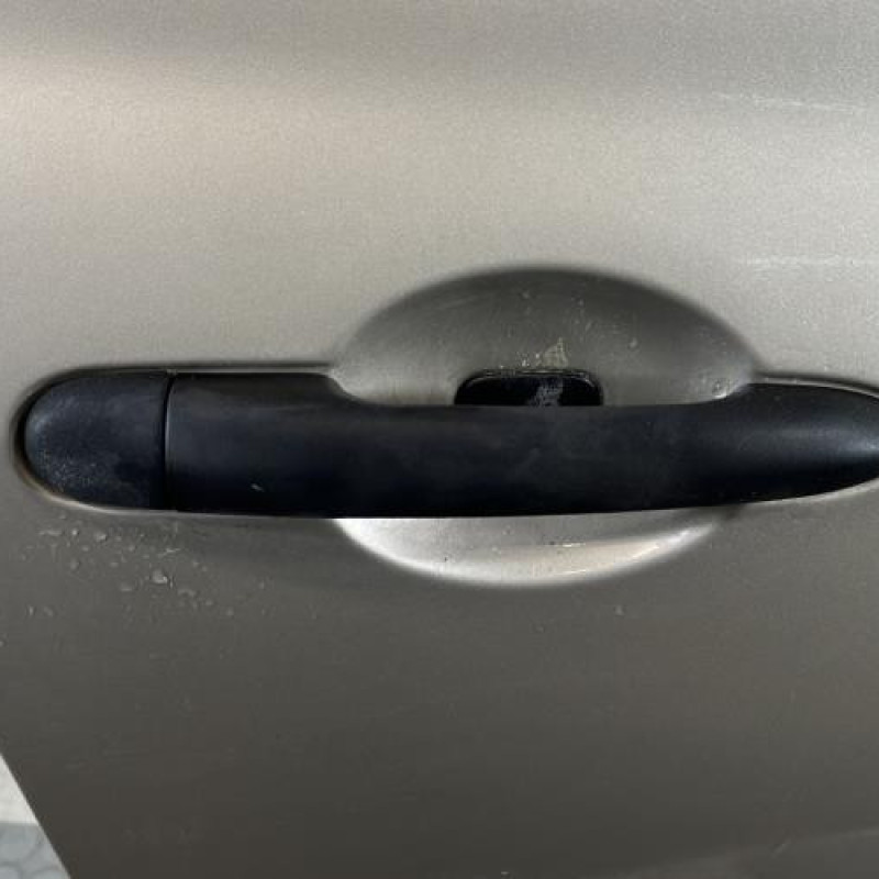 Porte avant droit RENAULT CLIO 3 Photo n°2
