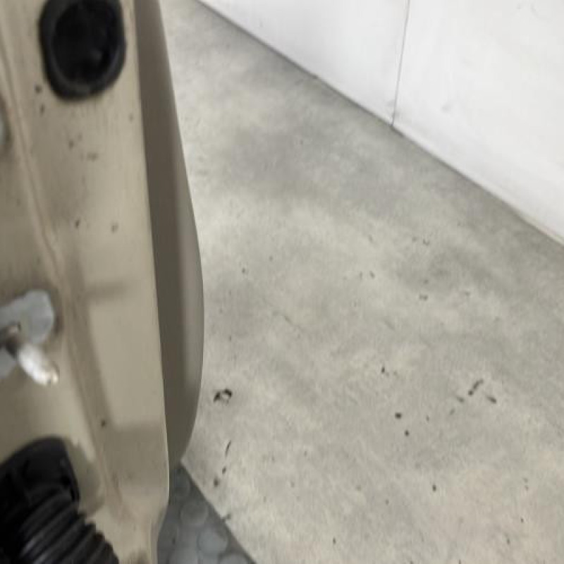 Porte avant droit RENAULT CLIO 3 Photo n°4