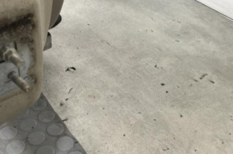 Porte avant droit RENAULT CLIO 3