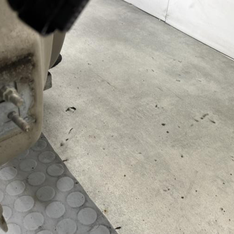 Porte avant droit RENAULT CLIO 3 Photo n°5