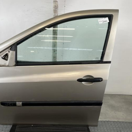 Porte avant gauche RENAULT CLIO 3 Photo n°1