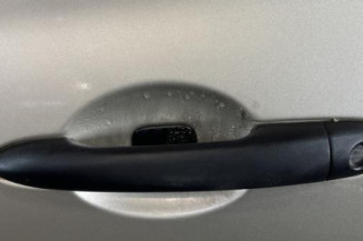 Porte avant gauche RENAULT CLIO 3
