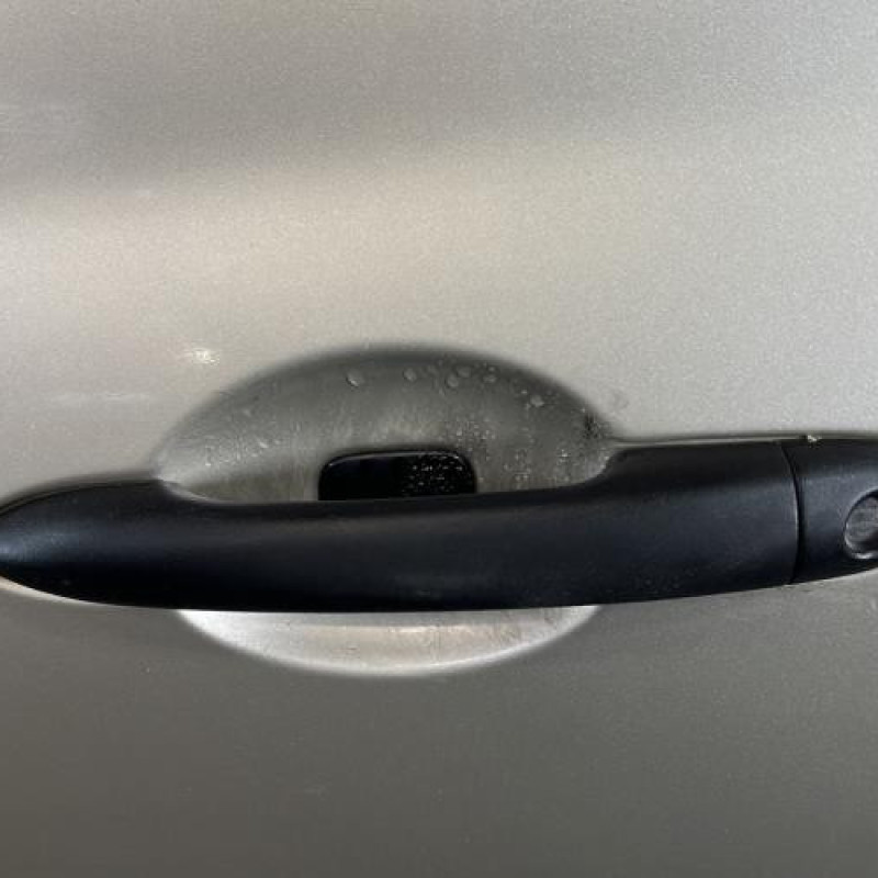 Porte avant gauche RENAULT CLIO 3 Photo n°2