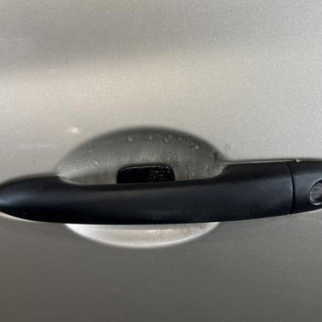 Porte avant gauche RENAULT CLIO 3