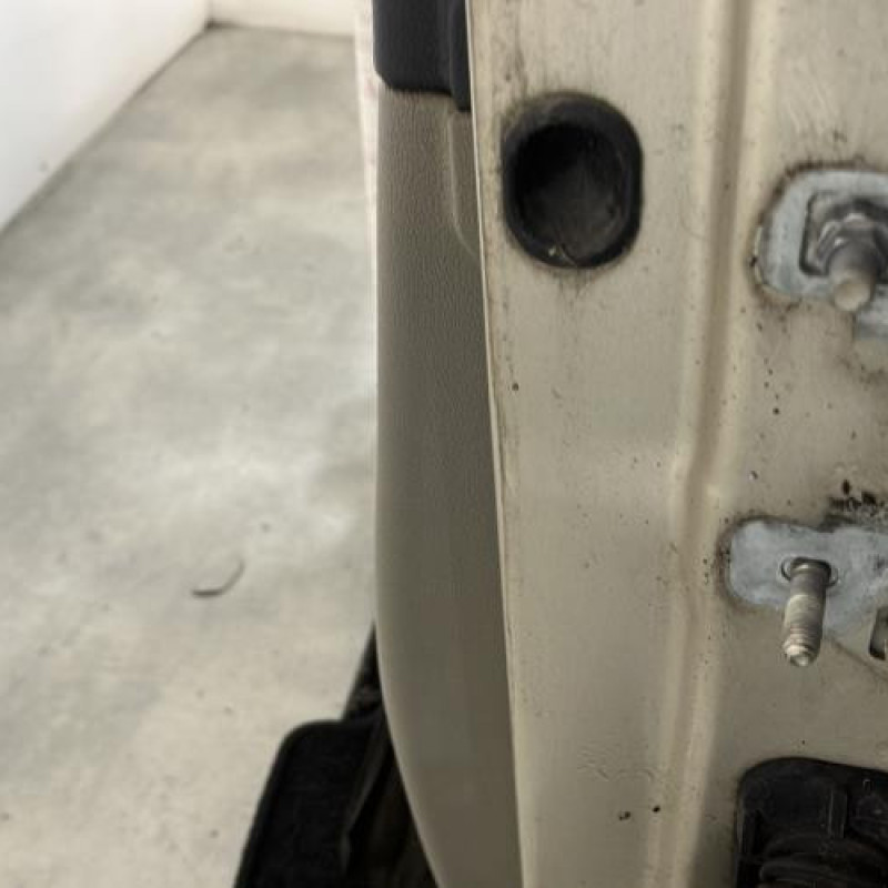Porte avant gauche RENAULT CLIO 3 Photo n°4