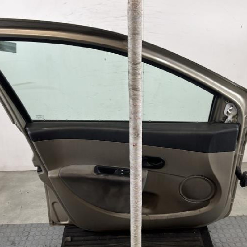 Porte avant gauche RENAULT CLIO 3 Photo n°6
