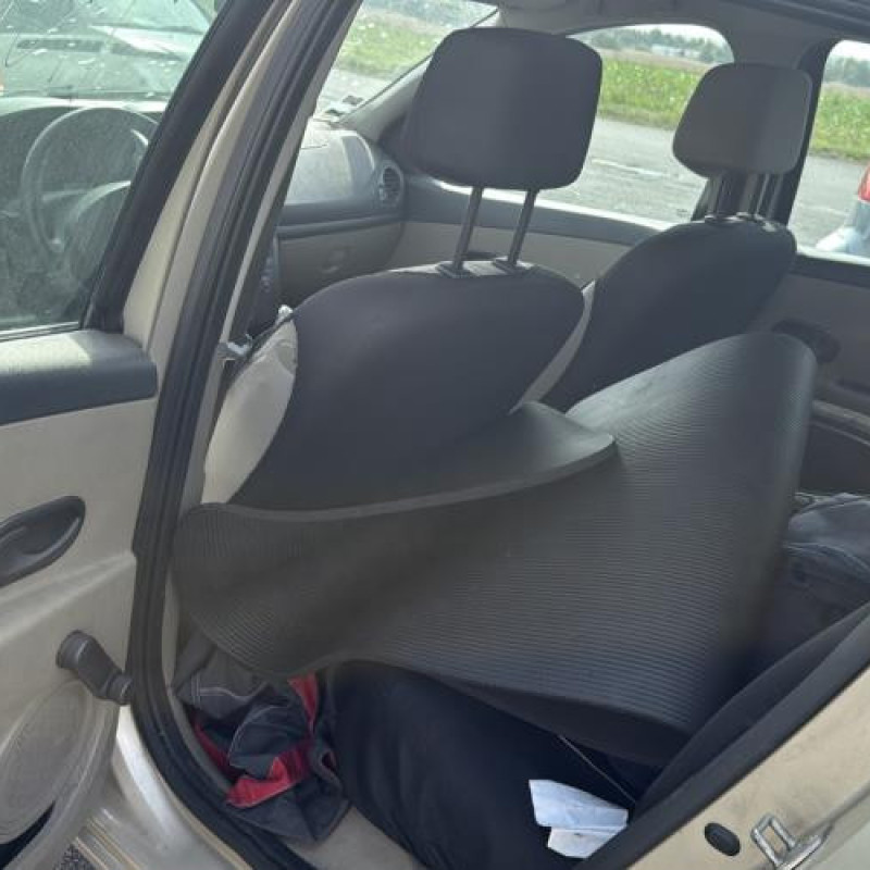 Porte avant gauche RENAULT CLIO 3 Photo n°16