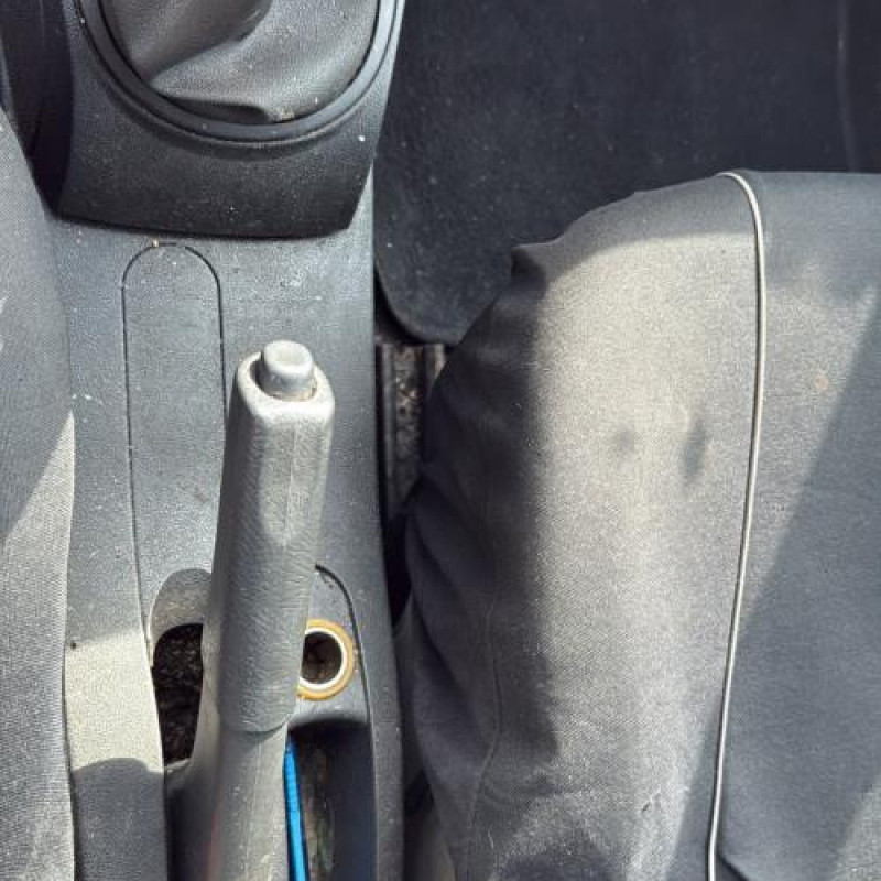 Porte avant gauche RENAULT CLIO 3 Photo n°19