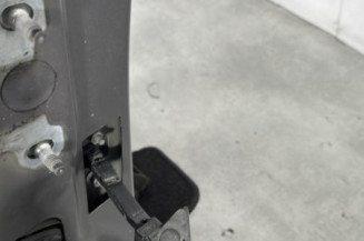 Porte avant droit RENAULT CLIO 4
