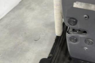 Porte avant droit RENAULT CLIO 4