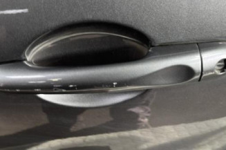 Porte avant gauche RENAULT CLIO 4