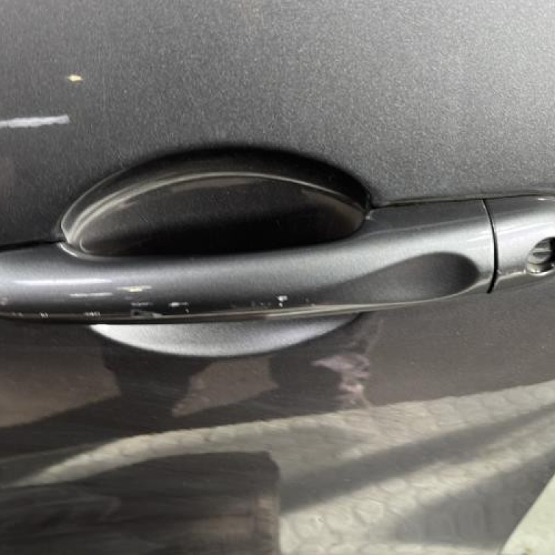 Porte avant gauche RENAULT CLIO 4 Photo n°2