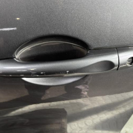 Porte avant gauche RENAULT CLIO 4