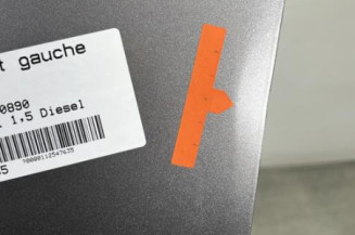 Porte avant gauche RENAULT CLIO 4