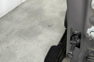 Porte avant gauche RENAULT CLIO 4