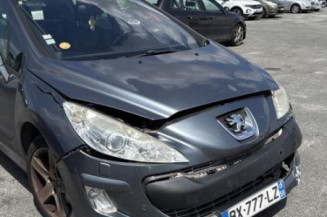 Porte avant gauche PEUGEOT 308 1