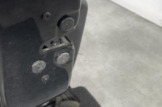 Porte avant gauche RENAULT CLIO 4