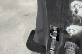 Porte avant gauche RENAULT CLIO 4