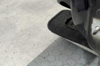 Porte avant gauche RENAULT CLIO 4