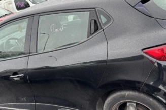 Porte avant gauche RENAULT CLIO 4